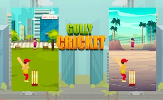Image Gully Cricket